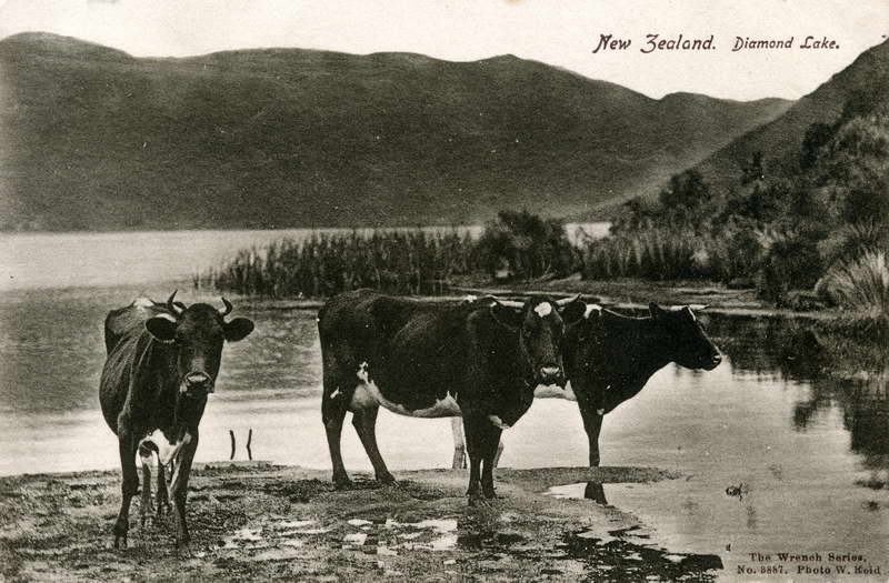 Diamond Lake