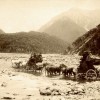 Coach Travel - Albumen