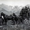 Coach to Milford Sound
