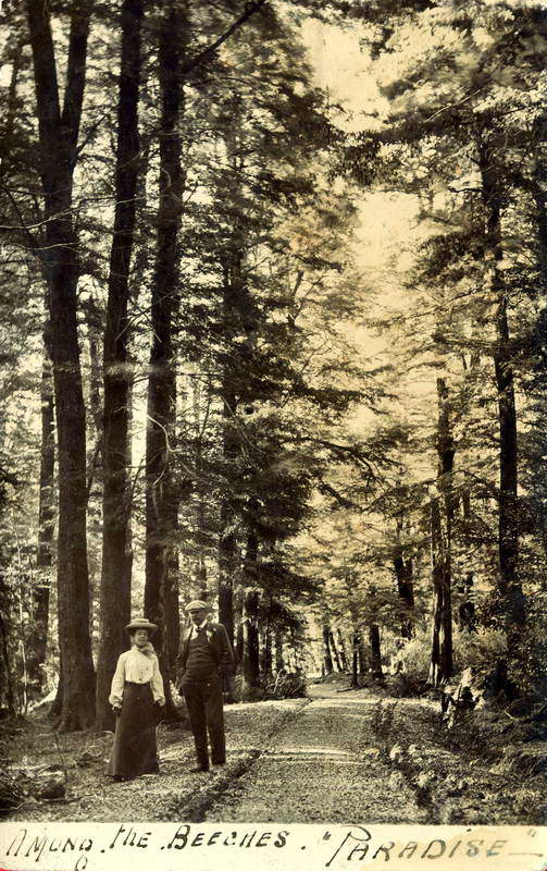 Among the Beeches, Paradise