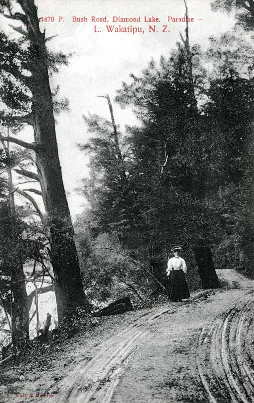 Bush Road, Paradise