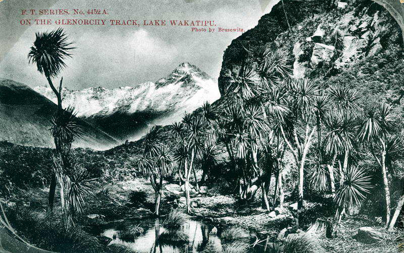 Glenorchy Track