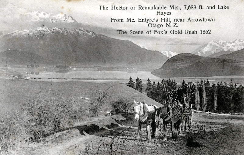 McEntyre's Hill, Arrowtown