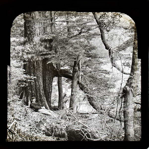 Paradise, Lantern Slide
