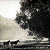 FGR 886, At Glenorchy