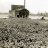 Unknown Dredge 2, Ca 1935